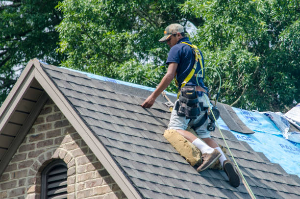 Best Roof Gutter Cleaning  in Southfield, MI